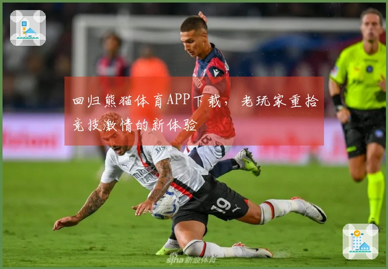 回归熊猫体育APP下载，老玩家重拾竞技激情的新体验